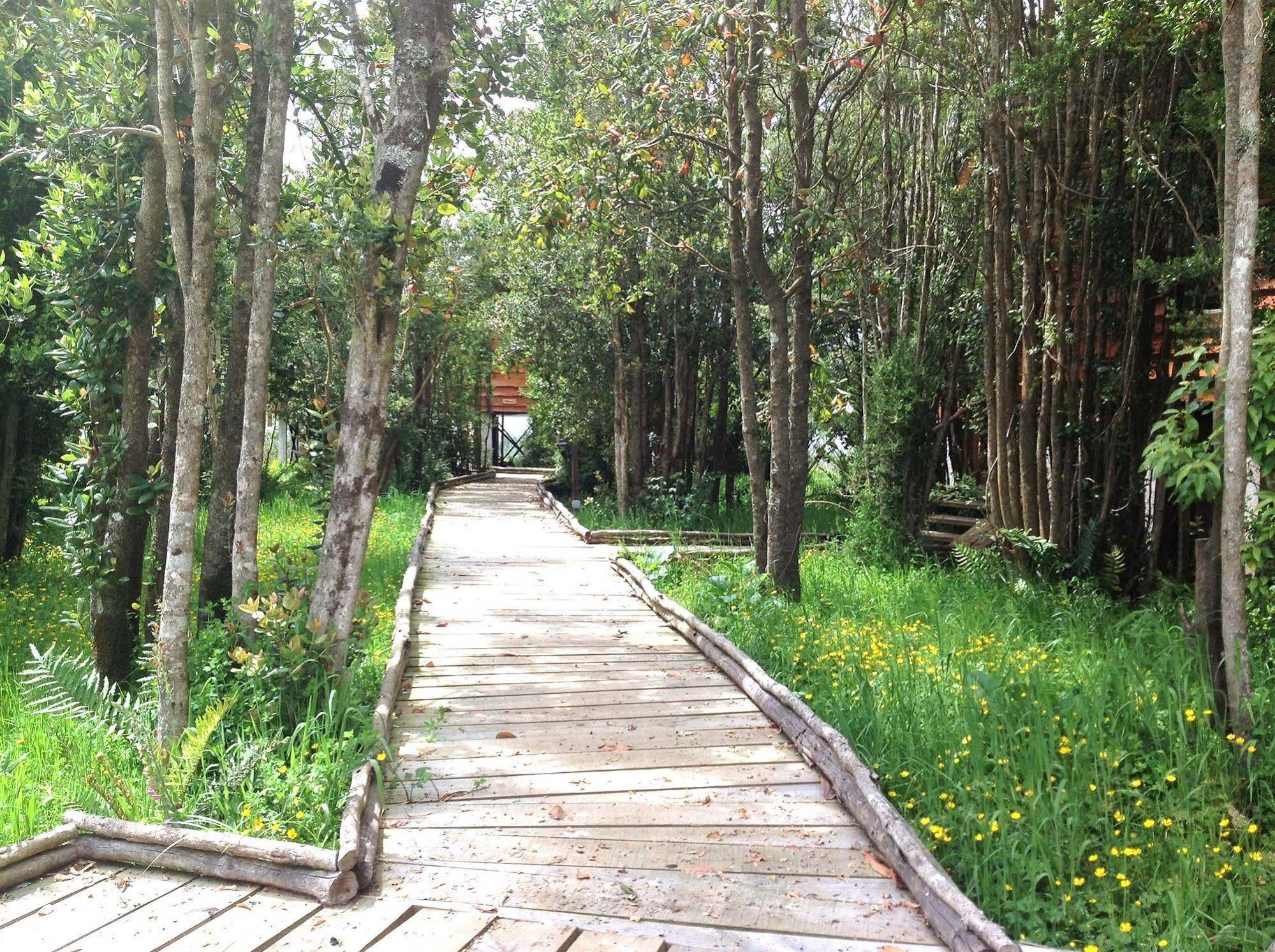 Cabanas Gracias A La Vida Lodge Пуэрто-Варас Экстерьер фото